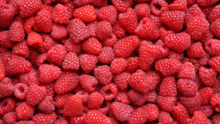 Raspberries red background macro berries - berry free wallpaper for desktop