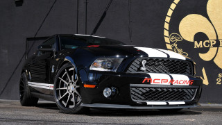 Black white mustang wall logo - a gold free wallpaper