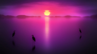 Birds mountains sunset mystical sky - top of a body free wallpaper