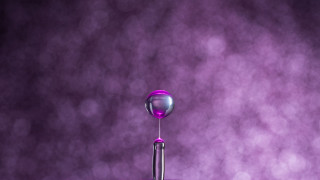 Purple liquid droplet macro shallow - liquid free wallpaper