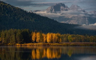 Mountain range trees clouds reflection - a forest in the foreground free wallpaper
