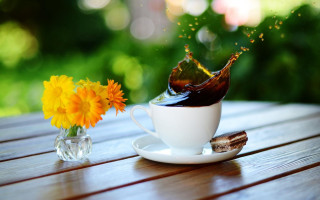 Coffee splash flower vase morning - morning free wallpaper for desktop