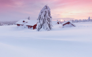 Snowy landscape red house tree - matte painting free wallpaper