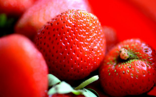Strawberries redplate greenstem bowl berry - strawberry free wallpaper