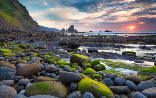 Rocky mossy beach sunset horizon - green moss free wallpaper