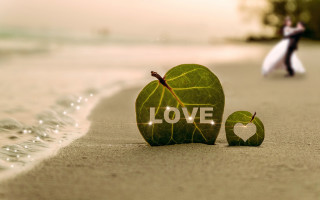 Beach love leaf heart sunset - a couple standing free wallpaper