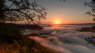Sunset foggy valley tree clouds - sunrise free wallpaper