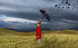 Woman red coat umbrella field - above her free wallpaper