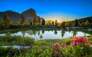 Lake mountains flowers sunset nature - free summer wallpaper for desktop