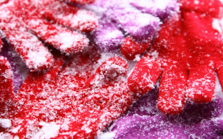 Gloves snow autumn leaves forest - glove free wallpaper