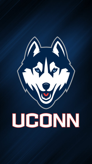 Husky dog uconn face blue - 4k uhd image free wallpaper for mobile