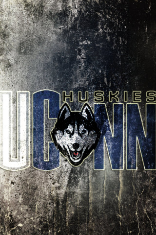 Husky wall huskies wolf process - free dogs wallpaper
