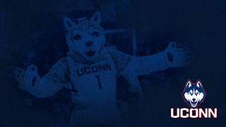Wolf mascot basketball uconn logo - a basketball free wallpaper