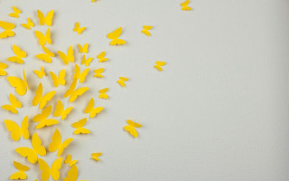 Yellow butterflies magic realism storybook - a bunch free wallpaper