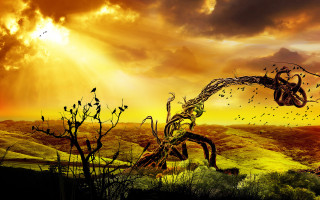 Tree bird sky field autumn - matte fantasy painting free wallpaper for desktop