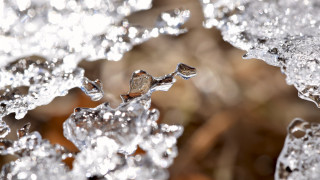 Ice crystals water droplets macro - a plant stem free wallpaper