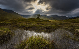 Small tree cloudy sky mountains - a grassy field under a cloudy sky free wallpaper