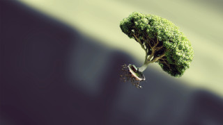 Tree bird plant greenhair 3d - the ground below free wallpaper