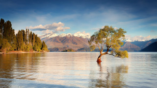 Lake tree mountains clouds sky - bob thompson free wallpaper