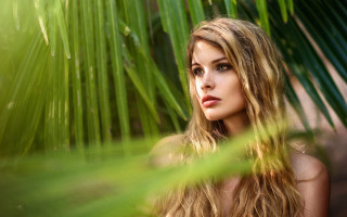Woman longhair palm tree blurry - her eye free wallpaper for desktop