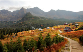 Mountain cabin forest tiltshift nature - auseklis ozol free wallpaper