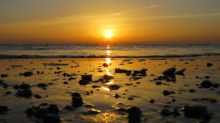 Sunset ocean beach rocks boat - a sunset over the ocean free wallpaper