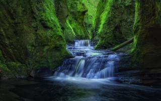 Small waterfall green forest mossy 2 - side of it free wallpaper