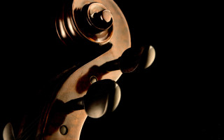 Violin black background photorealism flemish - a violin free wallpaper