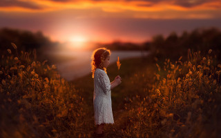 Girl field butterfly dusk autumn - the sun setting free wallpaper for desktop
