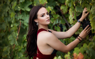 Woman red dress grapes outdoors - daphne mcclure free wallpaper for desktop