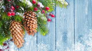 Pinecone berries winter snowflakes folkart - folk art free wallpaper