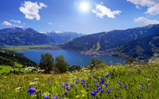 Lake mountains flowers sun scene - a bright sun in the background free wallpaper