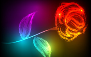 Colorful roses fireball glowing flame - a colorful flower free wallpaper