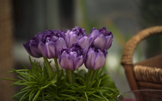 Purple flowers vase table basket - flavia bloi free wallpaper for desktop