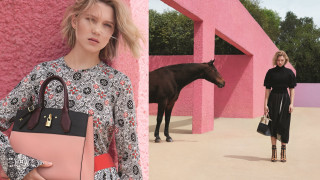 Woman purse horse pinkwall blackdress - a pink wall free wallpaper