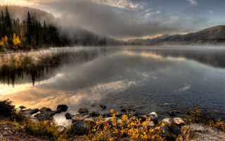 Lake trees rocks cloudy sky - a few yellow flower free wallpaper