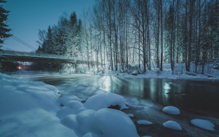 Snowy forest river bridge night - a bridge free wallpaper