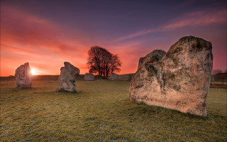 Sunset field rocks lone tree - a sunset over a field free wallpaper