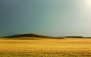 Grass hill sun landscape color - a field of grass free wallpaper for desktop