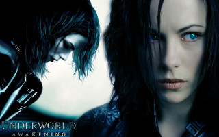 Couple people standing room light - a couple of people free wallpaper