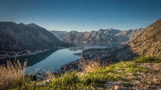 Lake mountains town flowers forest - mountain and grass free wallpaper for desktop