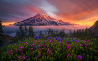 Mountain clouds flowers colorful sky 2 - a mountain free wallpaper for desktop