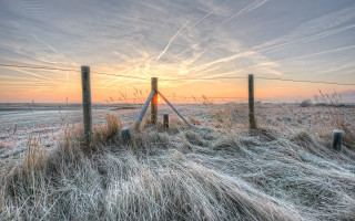 Fence sunset grass field bird - a fence free wallpaper