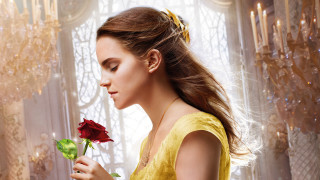 Woman yellow dress rose serious - a rose free wallpaper