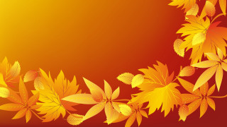Autumn leaves fireworks flower background - the bottom of the image free wallpaper
