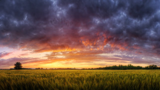Clouds sunset horizon nature field - a sunset in the distance free wallpaper