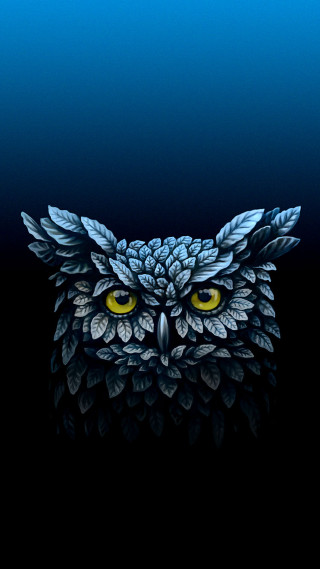 Owl yellow eyes night sky - an owl free wallpaper