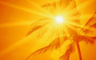 Palm tree sunset fireworks autumn - sun free wallpaper for desktop