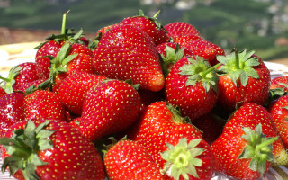 Strawberries basket table impressionism jigsaw - a basket of strawberries free wallpaper