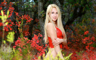 Red bikini woman flower field - a field of flowers and trees free wallpaper